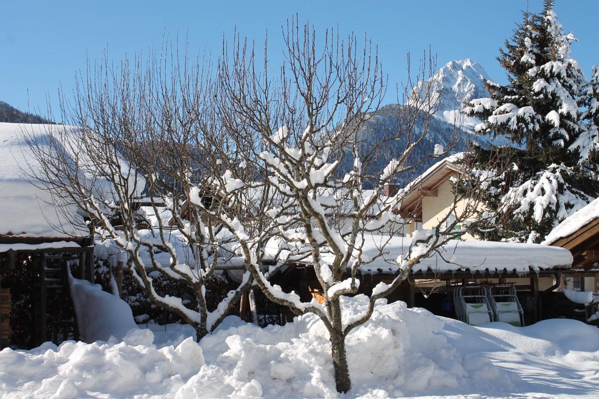 Ferienapartmenthaus Hubertushof Mittenwald Bagian luar foto